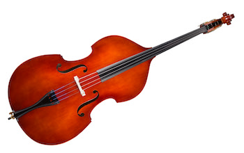 Eastman double-bass/Samuel-Eastman-VB800