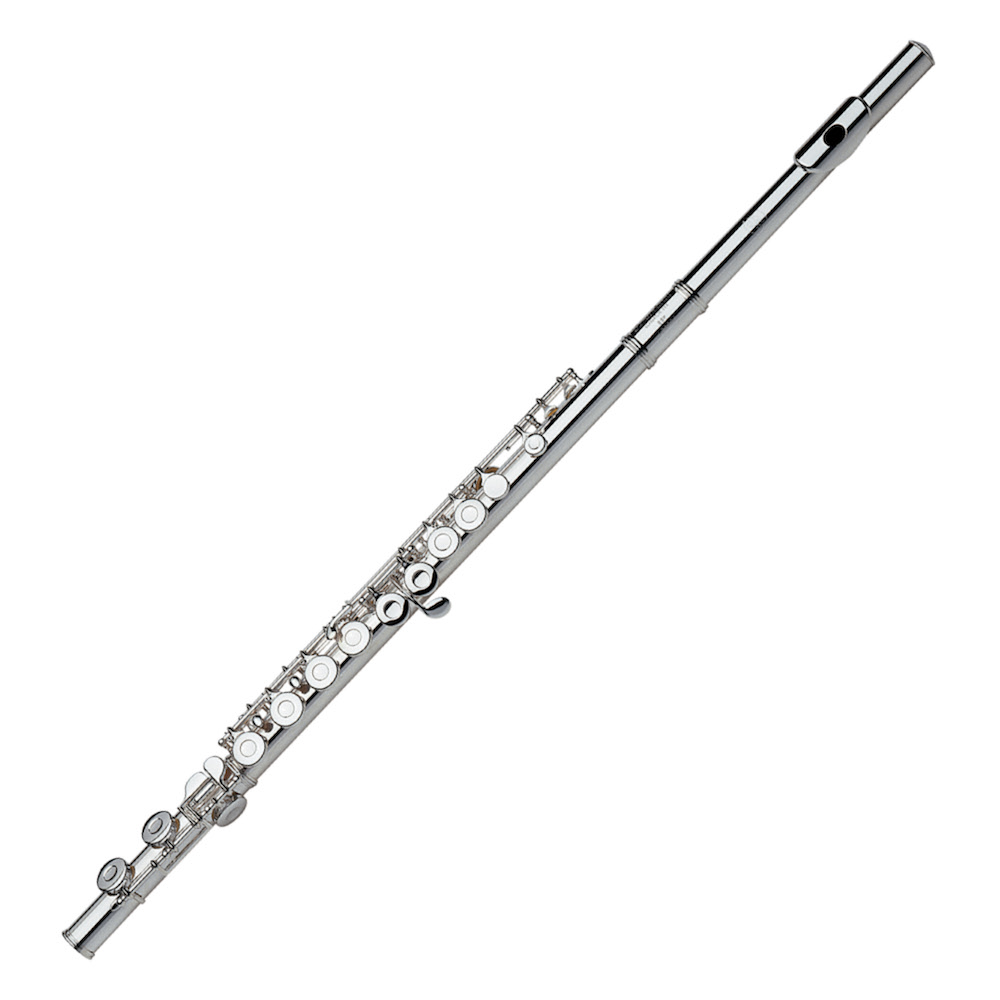 Gemeinhardt FLute 2SP Picture