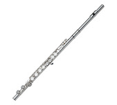 Gemeinhardt FLute 2SP Picture
