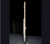 Gemeinhardt FLute 2SP Picture