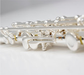 Gemeinhardt FLute 2SP Picture