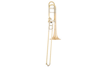 S.E. Shires Q SERIES TBQ30GA
