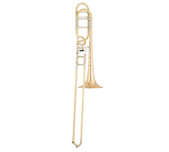 S.E. SHIRES Q SERIES • TBQ30GR • Tenor trombone