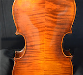 Eastman Andreas Eastman VL305 7/8 Size Violin