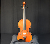 Eastman Abert Nebel VL601 4/4 Size Violin